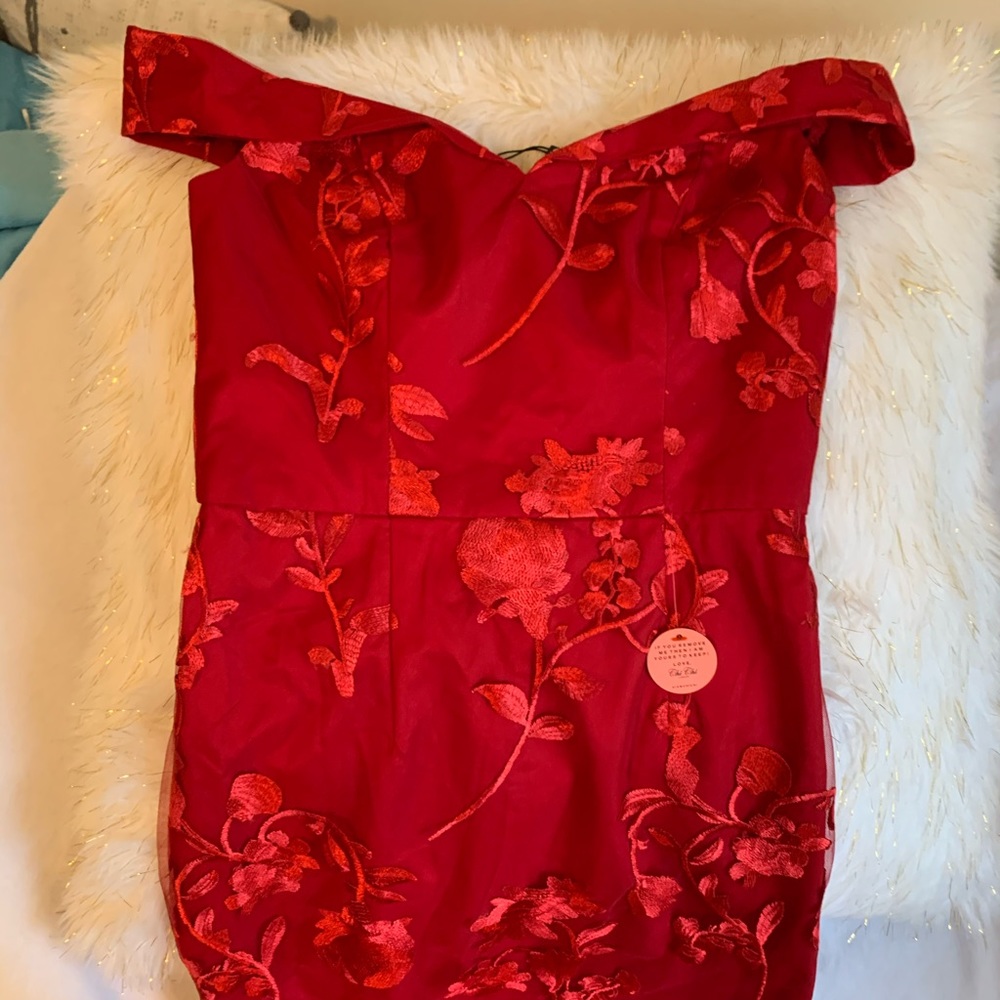 Mermaid Embroidered lace dress